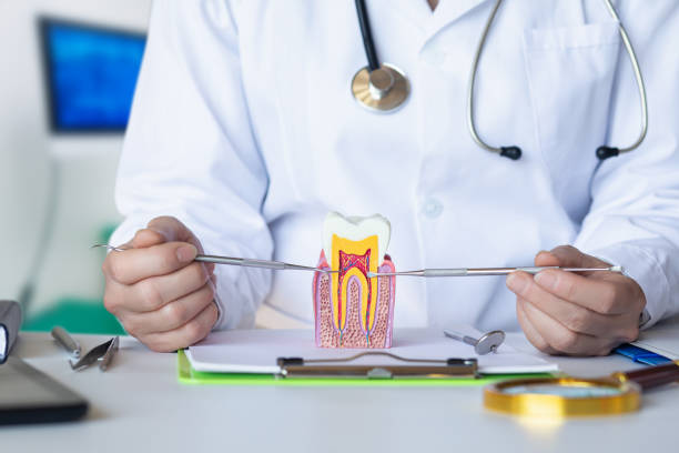 Best Emergency Root Canal Therapy in South Ack, NY